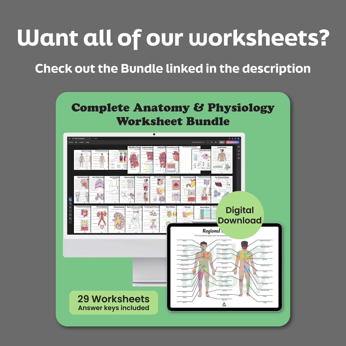 Heart Anatomy Worksheets(Digital Download)