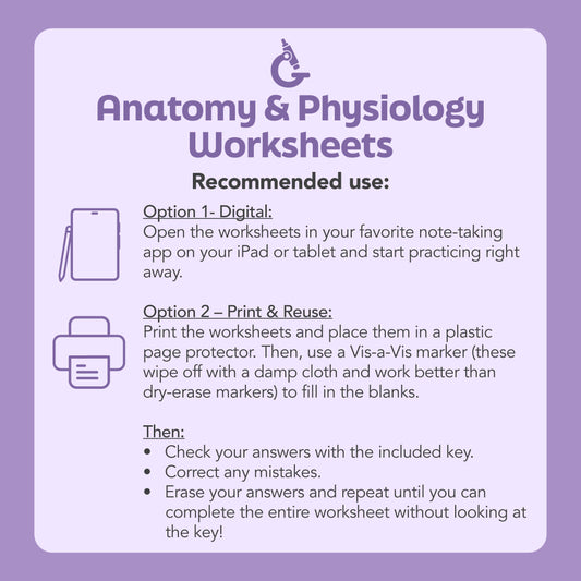 Anatomy and Physiology Worksheet Bundle (Digital Download)