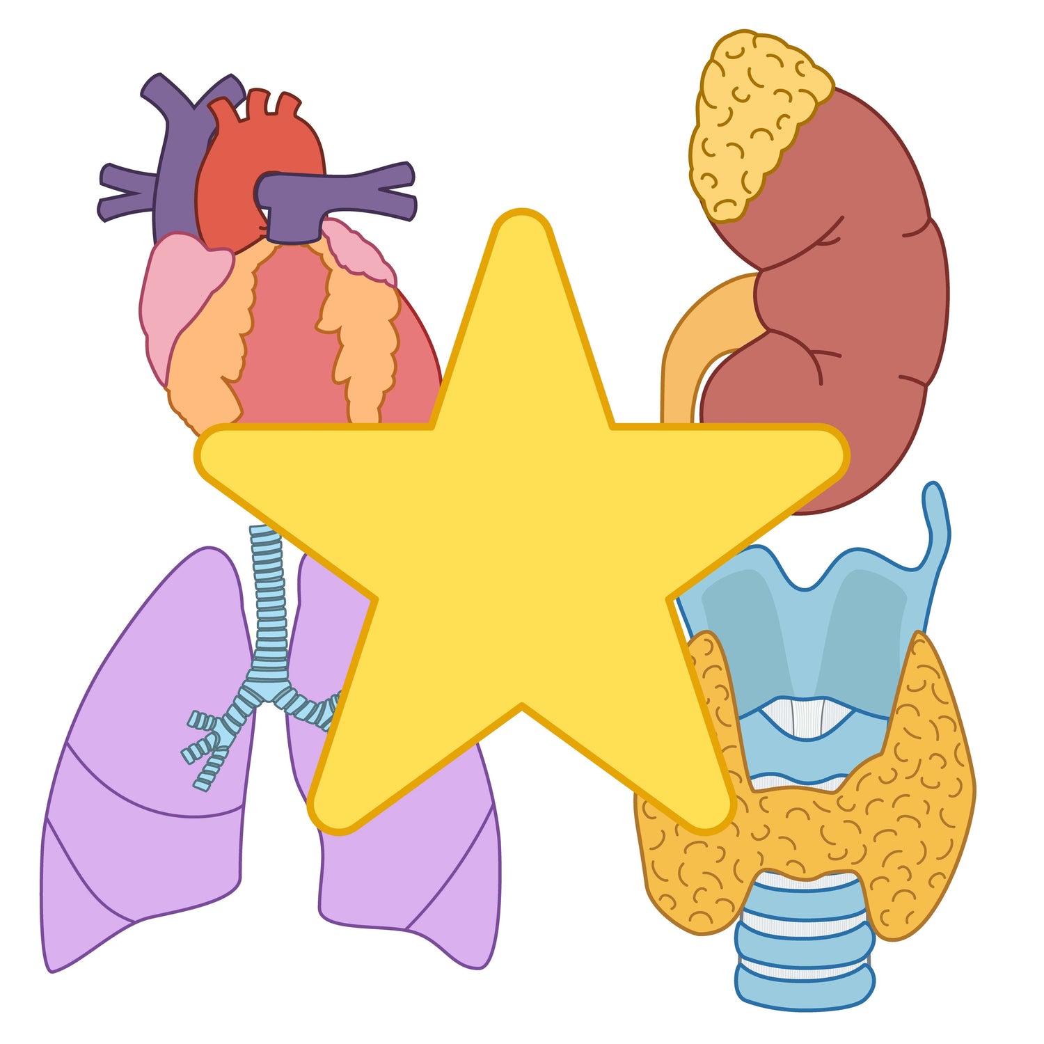 🌟 Study Resource Bundles