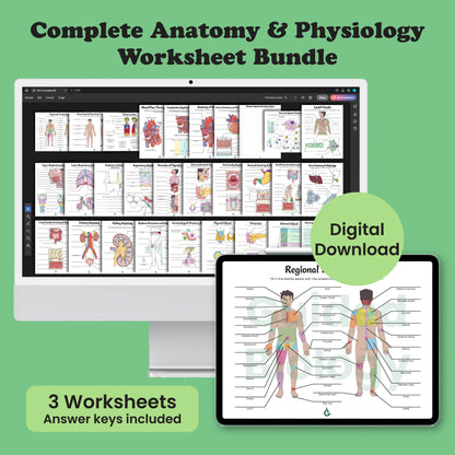 Anatomy and Physiology Worksheet Bundle (Digital Download)
