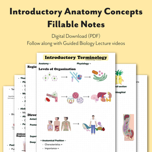 Anatomy & Physiology Fillable Notes -  Introductory Terminology (Digital Download)