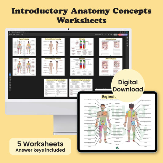 Introductory Anatomy Concepts Worksheets (Digital Download)
