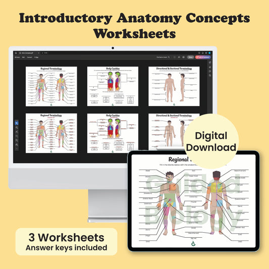 Introductory Anatomy Concepts Worksheets (Digital Download)