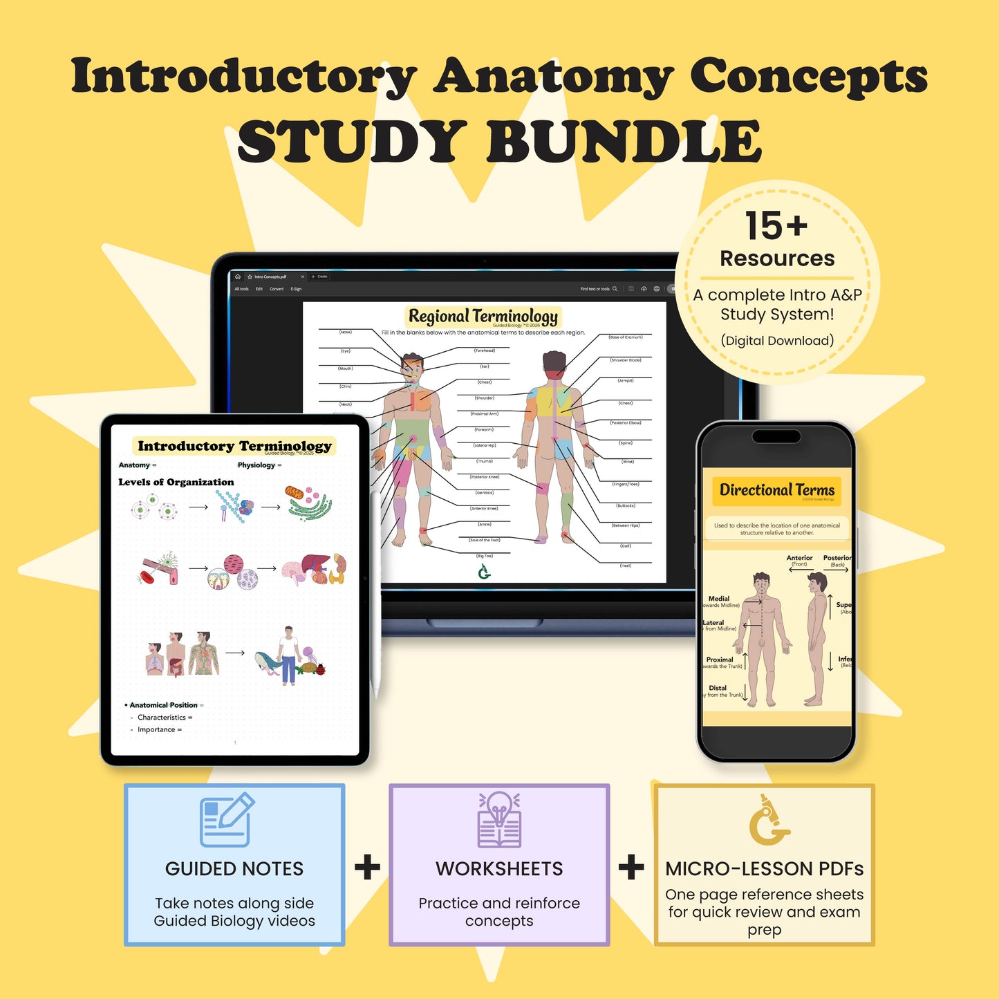 Introductory Anatomy Concepts Study Bundle (Digital Download)