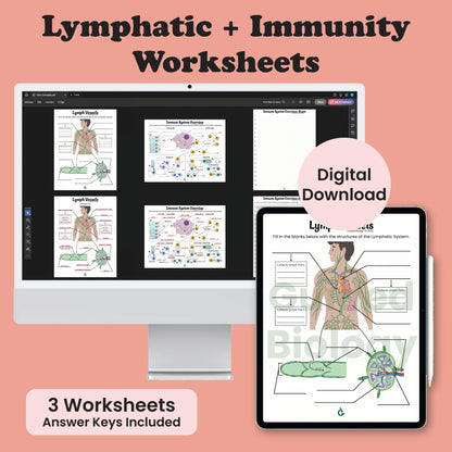 Immunity and Lymphatic Anatomy Worksheets (Digital Download)