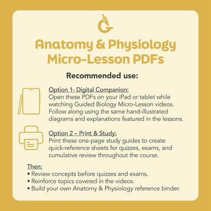 Introductory Anatomy Concepts Study Bundle (Digital Download)